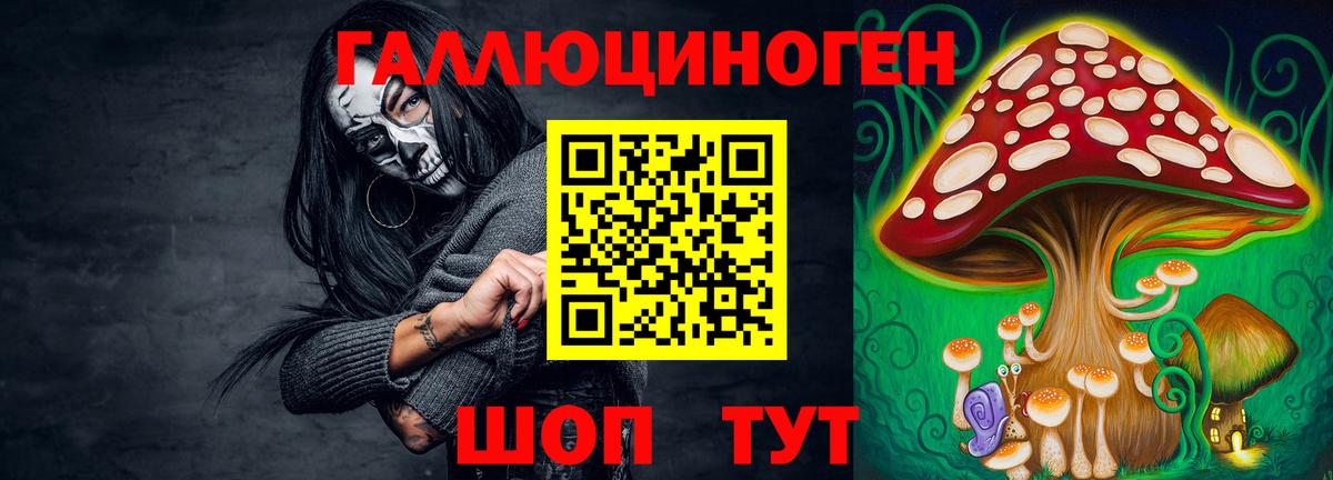Псилоцибиновые грибы Psilocybe Губаха