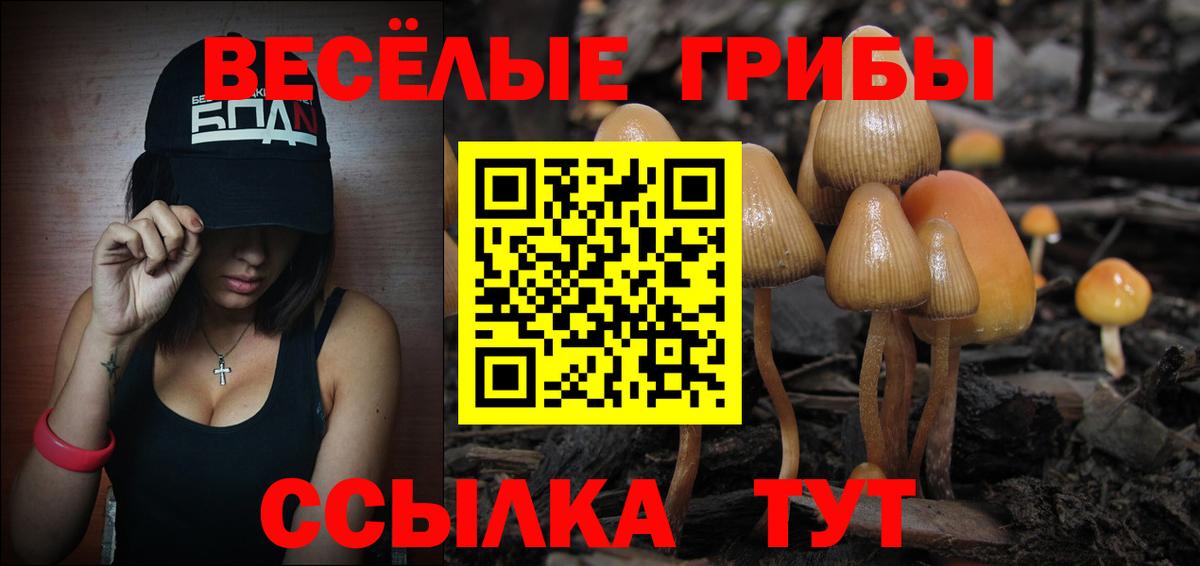 Галлюциногенные грибы GOLDEN TEACHER  Вход с VPN  Губаха 