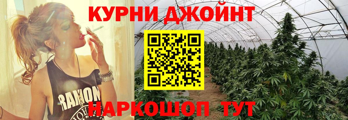 Каннабис семена Губаха